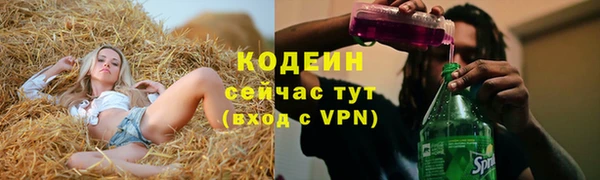 мдпв Дмитровск