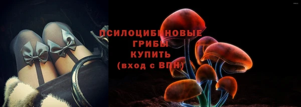 гашик Лихославль