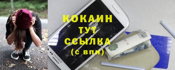 мдпв Дмитровск