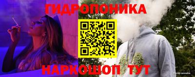 apvp Кингисепп