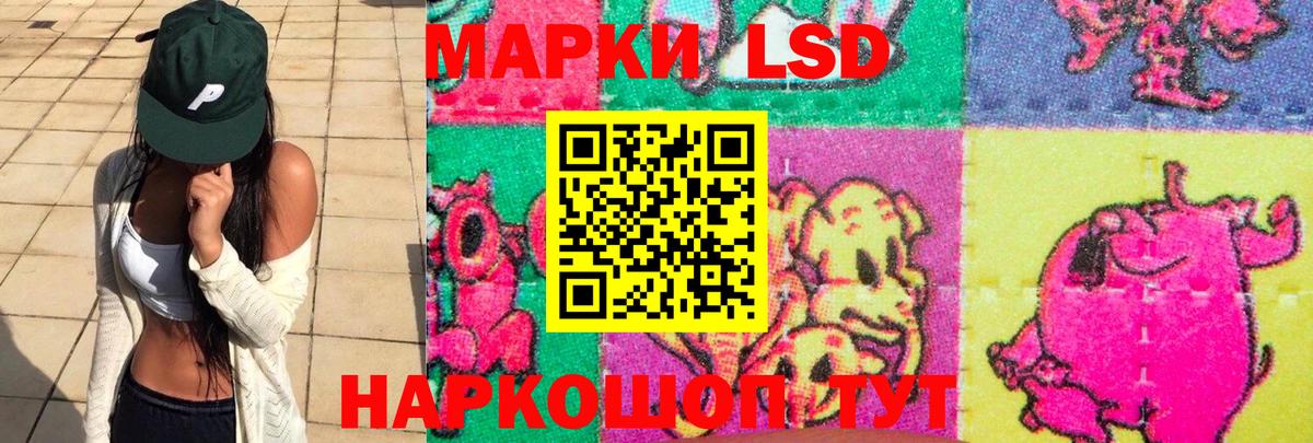 LSD-25 экстази ecstasy  Карачаевск  LSD-25 экстази ecstasy 
