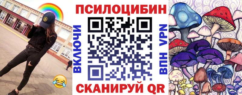 купить наркотик  Карачаевск  Галлюциногенные грибы Magic Shrooms 