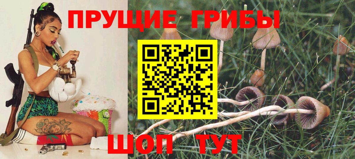 Карачаевск  Галлюциногенные грибы MAGIC MUSHROOMS  Вход с VPN 
