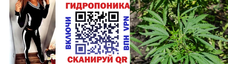 Бошки марихуана AK-47  площадка клад  Карачаевск  кракен онион 