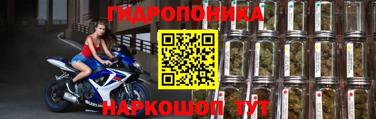 Канабис Ganja Карачаевск